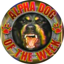 Alpha Dog Of The Week